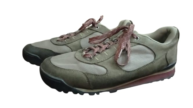 Danner Jag Low Hiking (EUR40) (Excellent)